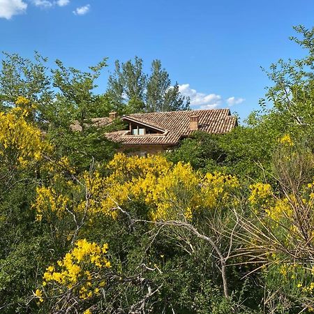 Luci Sui Monti Bed and Breakfast Sarnano Εξωτερικό φωτογραφία