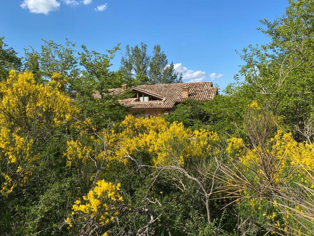 Luci Sui Monti Bed and Breakfast Sarnano Εξωτερικό φωτογραφία