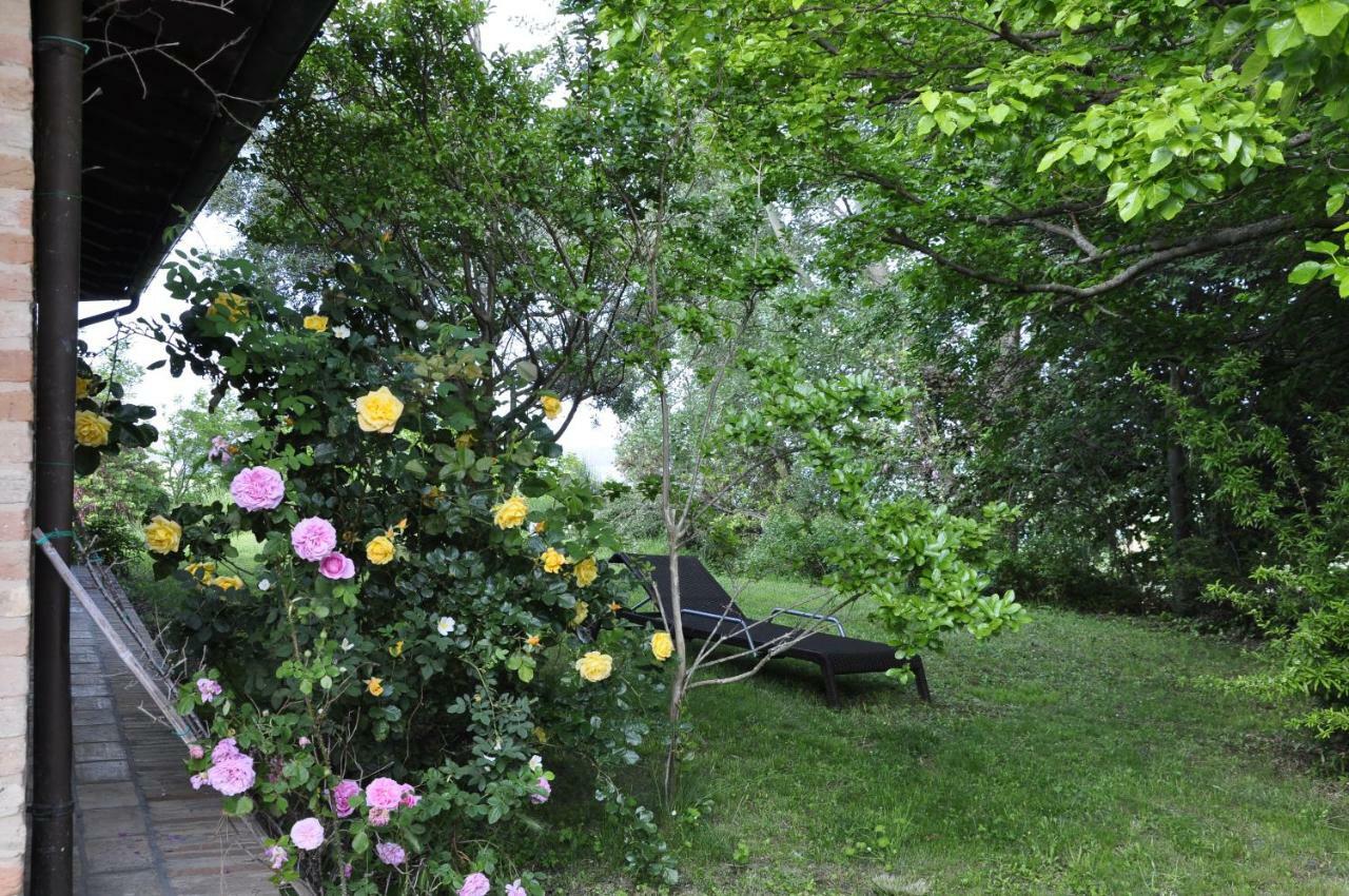 Luci Sui Monti Bed and Breakfast Sarnano Εξωτερικό φωτογραφία