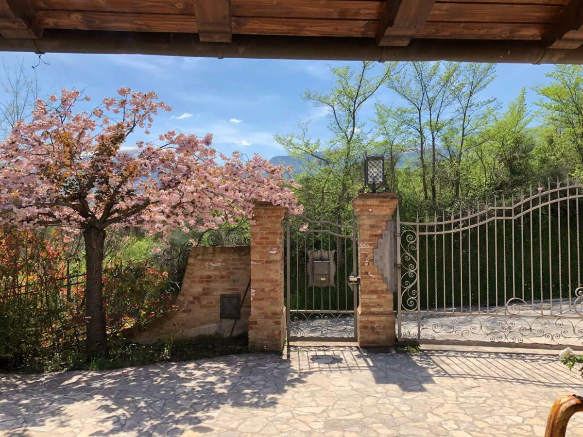Luci Sui Monti Bed and Breakfast Sarnano Εξωτερικό φωτογραφία